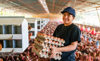 Poultry Jobs In USA