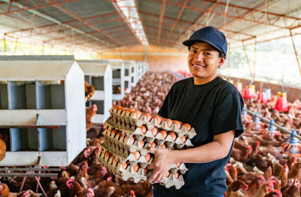Poultry Jobs In USA